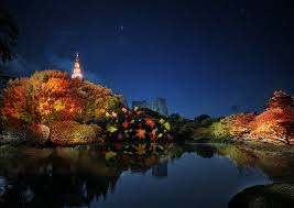 autumn foliage in shinjuku gyoen