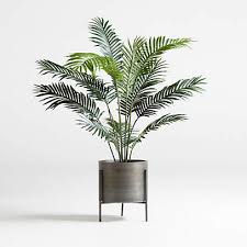 5 Faux Paradise Palm Plant Reviews