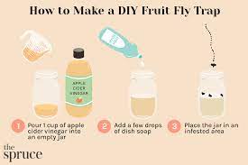 fruit fly traps to get rid of pesky flies