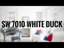 Paint Colour Review Antique White