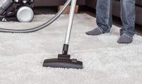 steam carpet cleaning north