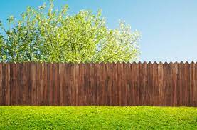 Maintaining Garden Walls And Fences