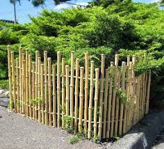Bamboo Picket Fence Bamboo Garden