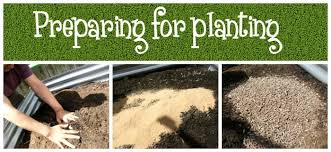 planting vegetables how to prepare your