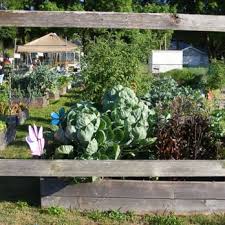 Community Gardens In Tampa Bay