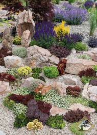 Succulent Rock Garden Garden Grand