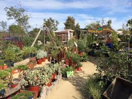 6 nurseries to discover in san