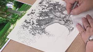 landscape pencil drawings
