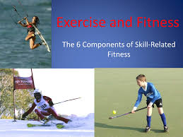 Featuring comprehensive exercise libraries (over 1800 exercises), reference articles, fitness assessment. Skill Related Fitness With Videos