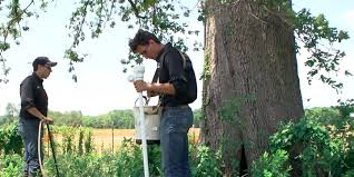 To be eligible for the isa certified arborist exam, you must have one or both of the following: Why You Need A Certified Arborist To Plant Your North Texas Trees