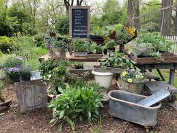 Container Gardening Tips And Tricks