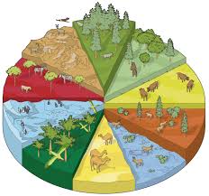 Meaning, pronunciation, synonyms, antonyms, origin, difficulty, usage index and more. Land Habitats Different Habitat Types Dk Find Out