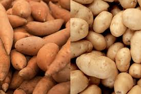 sweet potato vs white potato which is