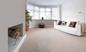 immaculate carpet cleaning