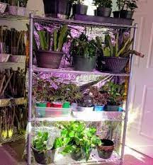 Unlike growing outdoors, where your plants are completely exposed to the elements, growing in a. Diy Portable Indoor Greenhouse And Tips So Easily Distracted
