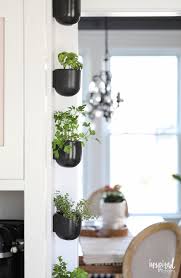 How To Create A Modern Kitchen Herb Garden