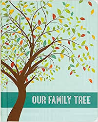 We encourage you to validate all data. Our Family Tree Peter Pauper Press Inc Amazon De Bucher
