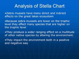 Ppt Sea Lamprey Vs Zebra Mussels Powerpoint Presentation