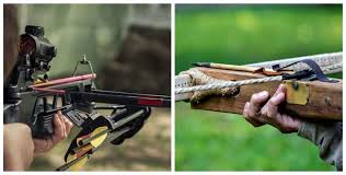 deadly is a modern crossbow vs compound bow