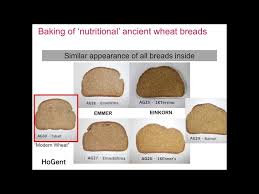 the nutritional value of einkorn emmer