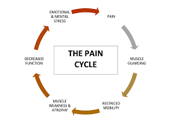 muscle guarding the pain cycle dr