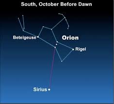 Watch For Sirius Skys Brightest Star Tonight Earthsky