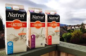 lactose free milk nutritional facts