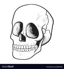 human skull icon cine and y