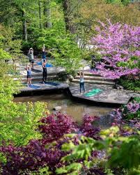 hatha yoga at anderson gardens