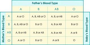 Baby Blood Type Baby Blood Group Predictor