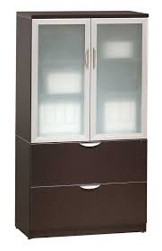 Storage Cabinet With Glass Doors And
