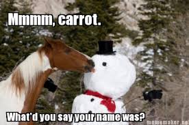 9 Horses Who Are NOT In the Holiday Spirit | HORSE NATION