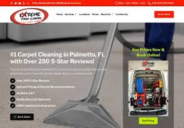 extreme steam cleaning services reviews