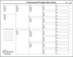 35 Meticulous Fillable Pedigree Chart Free