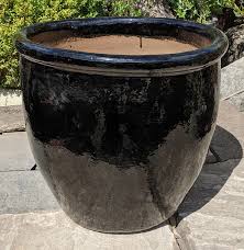 Glazed Tall 352 Pot Black World Of Pots