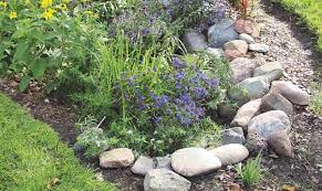 Rain Gardens Reduce Your Stormwater