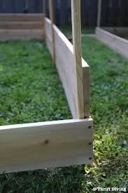 how to build a diy raised garden bed