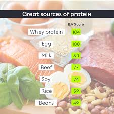 how much protein do you need when