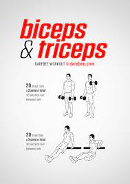 bicep triceps workout