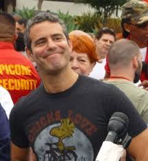 Andy Cohen Quotes - Celebrity Quotes via Relatably.com