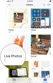 live fish wallpapers in ios 11