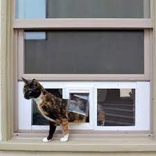 window pet door cat door