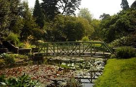 national botanical gardens in dublin