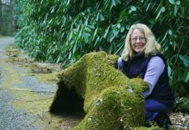 Making Magic With Mosses Ecological