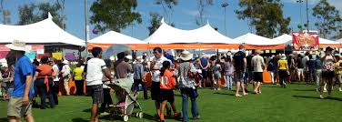 Image result for village festival pics