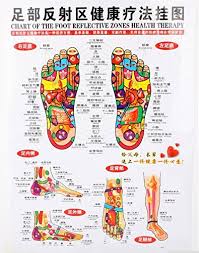 Amazon Com Chinese English Chart Of Foot Reflective Zones