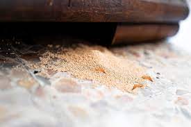 how to get rid of termites in furniture