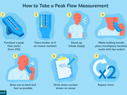peak flow meter uses procedure results