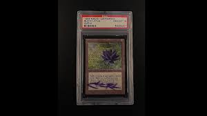 And then there are five basic land cards with two different artworks 10 basic land cards in total. With A Black Lotus Sold At 500k Magic The Gathering Hits A New Level Pc Gamer