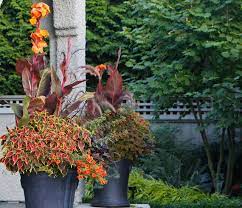 12 Fabulous Fall Container Gardens